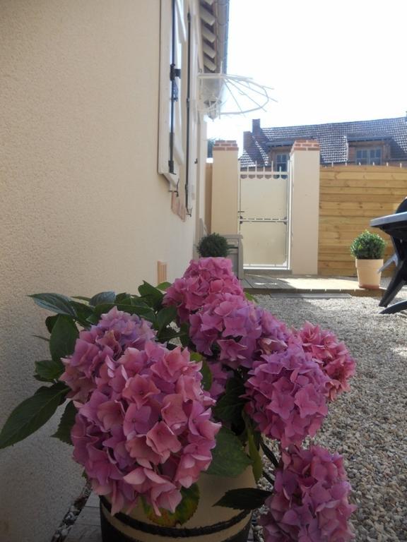 Les Palerees, Petite Maison Au Coeur De La Sologne Des Etangs Saint-Viâtre Exterior foto